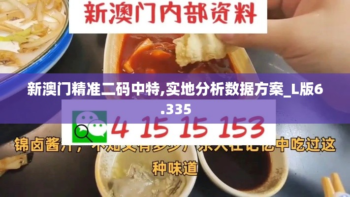 新澳门精准二码中特,实地分析数据方案_L版6.335
