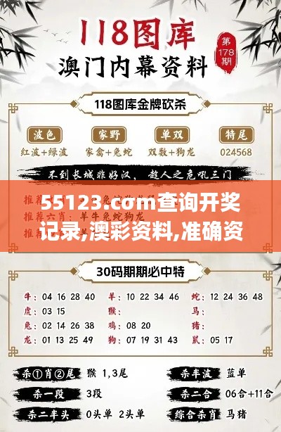55123.cσm查询开奖记录,澳彩资料,准确资料解释定义_AP10.589
