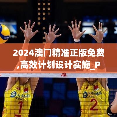 2024澳门精准正版免费,高效计划设计实施_Prime2.823