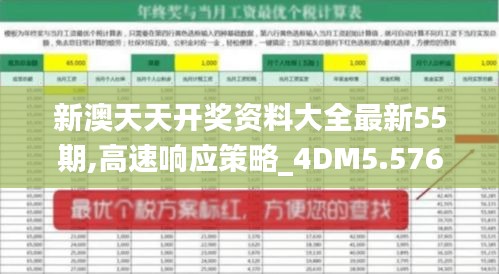 新澳天天开奖资料大全最新55期,高速响应策略_4DM5.576