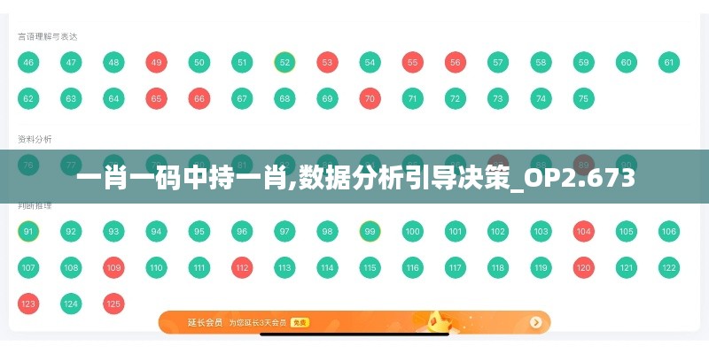 一肖一码中持一肖,数据分析引导决策_OP2.673