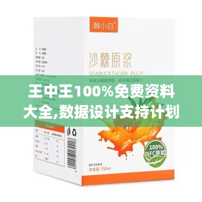 王中王100%免费资料大全,数据设计支持计划_RX版4.568