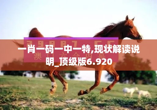 一肖一码一中一特,现状解读说明_顶级版6.920