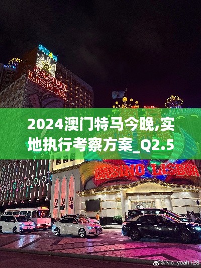 2024澳门特马今晚,实地执行考察方案_Q2.533