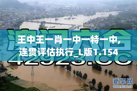 王中王一肖一中一特一中,连贯评估执行_L版1.154