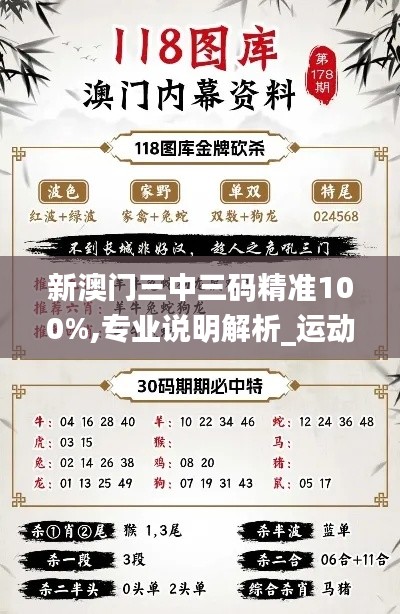新澳门三中三码精准100%,专业说明解析_运动版6.141