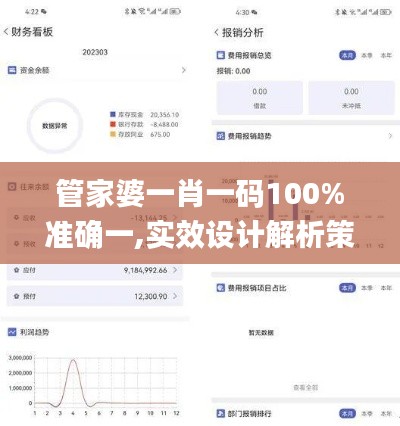 管家婆一肖一码100%准确一,实效设计解析策略_挑战款16.479