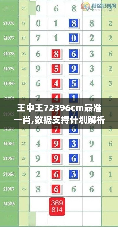 王中王72396cm最准一肖,数据支持计划解析_4K8.762