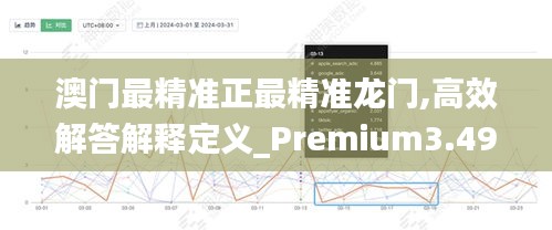 澳门最精准正最精准龙门,高效解答解释定义_Premium3.499