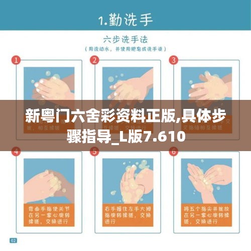 新粤门六舍彩资料正版,具体步骤指导_L版7.610