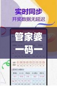管家婆一码一肖100中奖,快速响应设计解析_高级款1.480