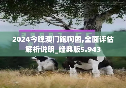 2024今晚澳门跑狗图,全面评估解析说明_经典版5.943