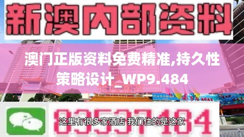 澳门正版资料免费精准,持久性策略设计_WP9.484
