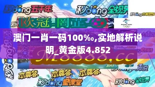 澳门一肖一码100‰,实地解析说明_黄金版4.852