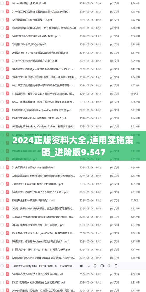 2024正版资料大全,适用实施策略_进阶版9.547
