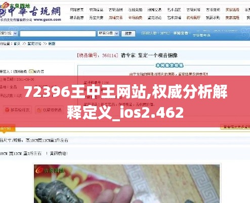 72396王中王网站,权威分析解释定义_ios2.462