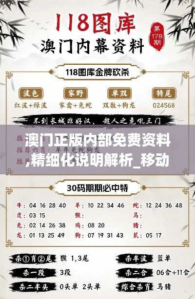 澳门正版内部免费资料,精细化说明解析_移动版19.721