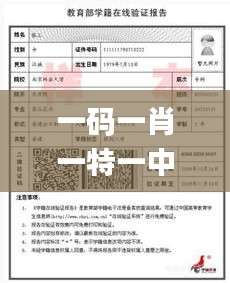 一码一肖一特一中2024,安全解析策略_储蓄版4.305