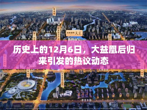大益凰后归来引发的热议动态，历史视角下的12月6日回顾
