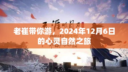 青天白日 第2页