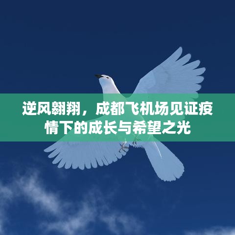 疫情见证下的成长与希望之光，逆风翱翔于成都飞机场