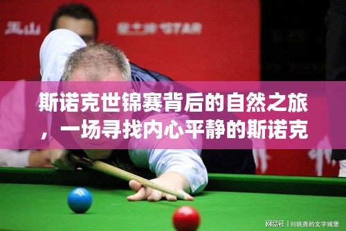 斯诺克世锦赛的自然之旅，寻找内心平静的斯诺克美景探险之旅