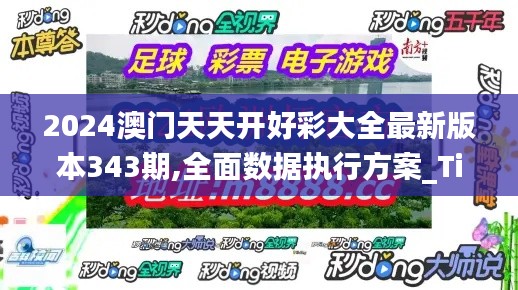 2024澳门天天开好彩大全最新版本343期,全面数据执行方案_Tizen16.933