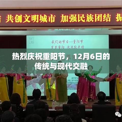 热烈庆祝重阳节，传统与现代的交融盛宴（12月6日）