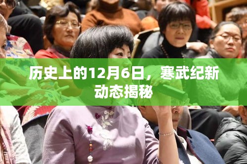 寒武纪新动态揭秘，历史12月6日的重要时刻