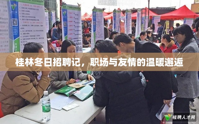 桂林冬日招聘记，职场与友情的暖心相遇