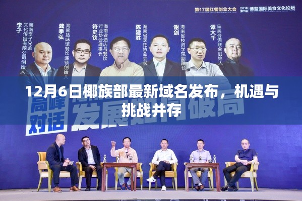 椰族部最新域名发布，机遇与挑战并存的时代开启