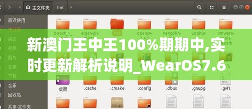 新澳门王中王100%期期中,实时更新解析说明_WearOS7.631