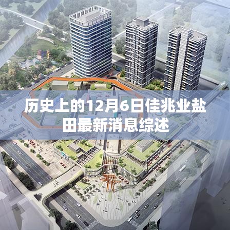 历史上的12月6日佳兆业盐田最新消息综述，深度解析与综述