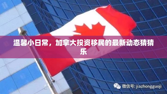 加拿大投资移民最新动态揭秘，温馨日常猜猜乐