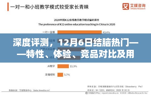 深度评测，结脑热门产品特性、体验、竞品对比及用户群体分析——12月6日专稿