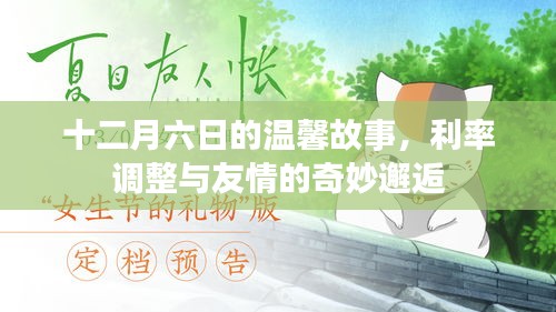 十二月六日，利率调整与友情奇妙邂逅的温馨故事