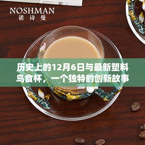 塑料鸟食杯的诞生，跨越时空的创新故事