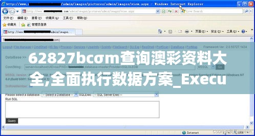 62827bcσm查询澳彩资料大全,全面执行数据方案_Executive3.907