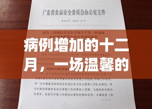 十二月病例增加下的温馨日常冒险之旅