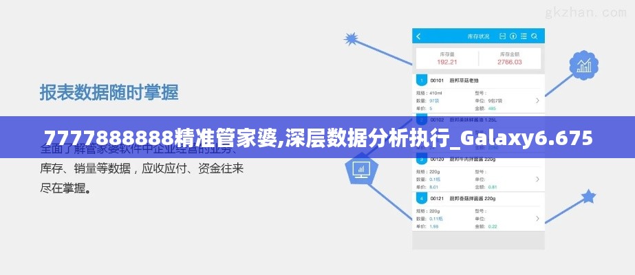 7777888888精准管家婆,深层数据分析执行_Galaxy6.675