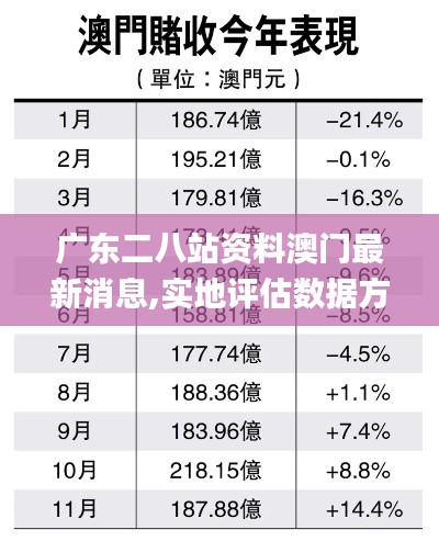 广东二八站资料澳门最新消息,实地评估数据方案_专业版8.630