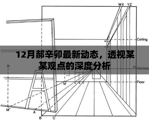 郝辛卯最新动态揭秘，深度解析某某观点