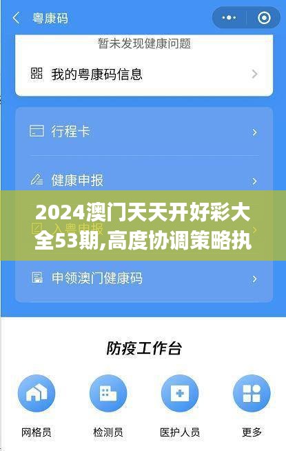 2024澳门天天开好彩大全53期,高度协调策略执行_iPad5.308