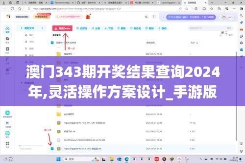 澳门343期开奖结果查询2024年,灵活操作方案设计_手游版17.551