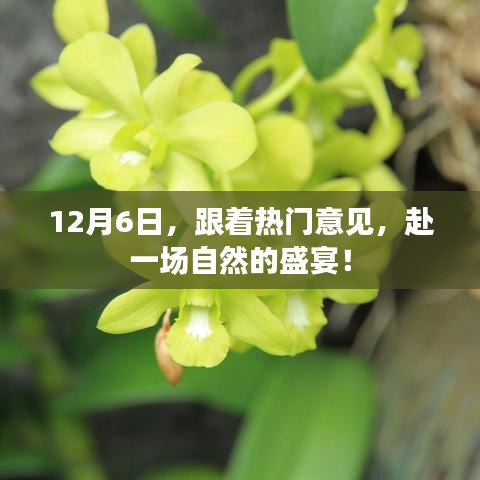 12月6日，跟着热门意见，赴一场自然的盛宴！