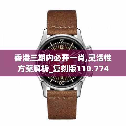 香港三期内必开一肖,灵活性方案解析_复刻版110.774