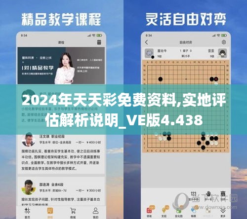 2024年天天彩免费资料,实地评估解析说明_VE版4.438