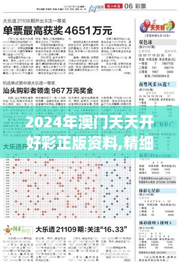 2024年澳门天天开好彩正版资料,精细化策略定义探讨_DP6.282