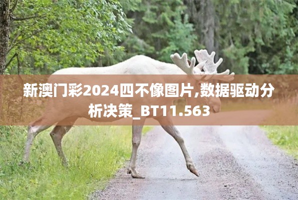 新澳门彩2024四不像图片,数据驱动分析决策_BT11.563
