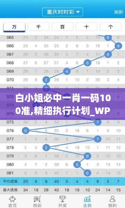 白小姐必中一肖一码100准,精细执行计划_WP3.677
